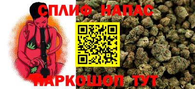 индика Коммунар