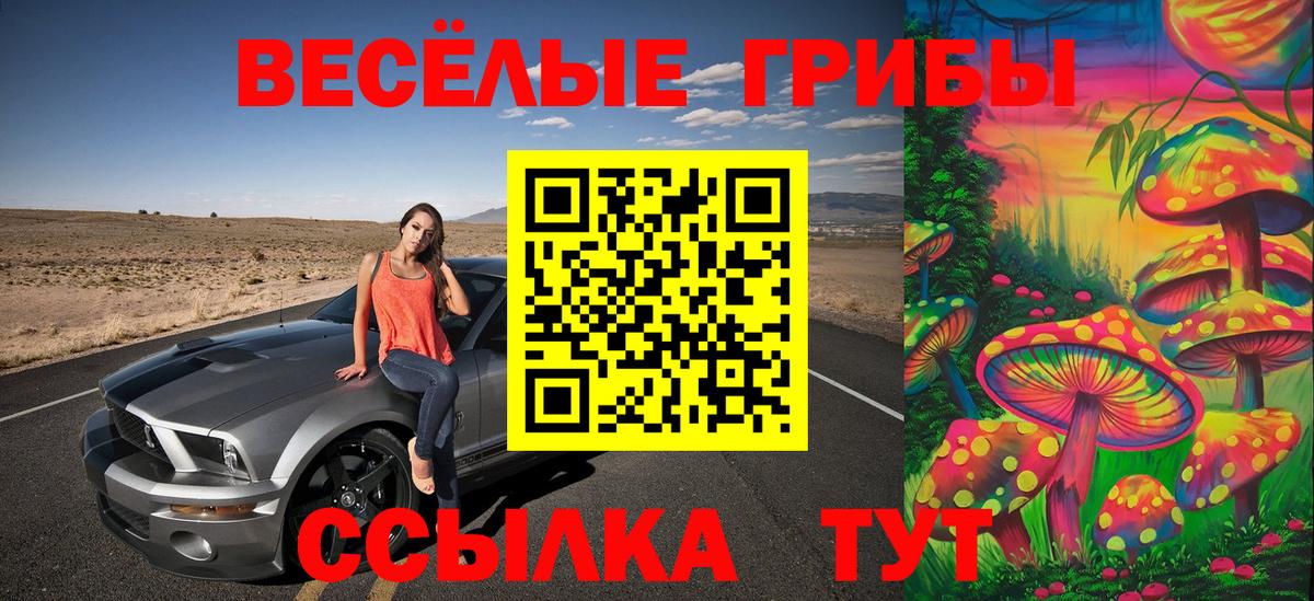 Галлюциногенные грибы Cubensis  Псилоцибиновые грибы GOLDEN TEACHER  Владикавказ  Вход с VPN 