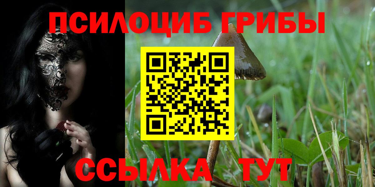 Галлюциногенные грибы GOLDEN TEACHER Владикавказ